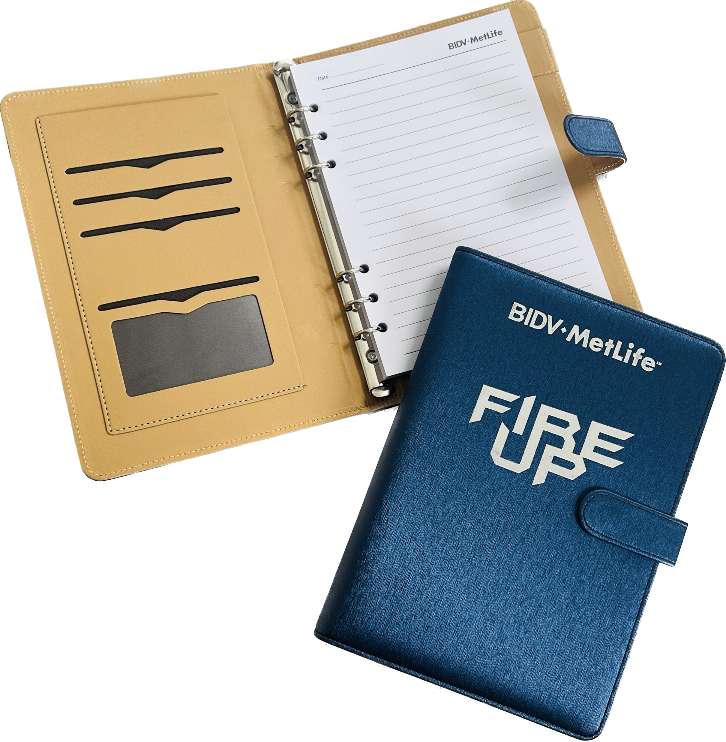 Qua-tang-Dolphin-So-tay-bia-da-gay-cong (1) Qua tang Dolphin So tay bia da gay cong 1